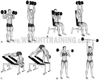 Benefits of Vertical Push Exercises